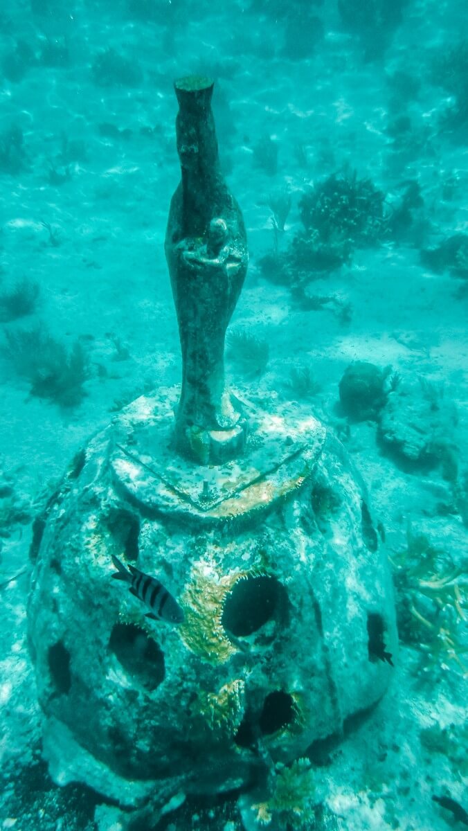 El Farito snorkelling site