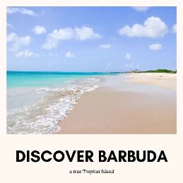 beach paradise barbuda