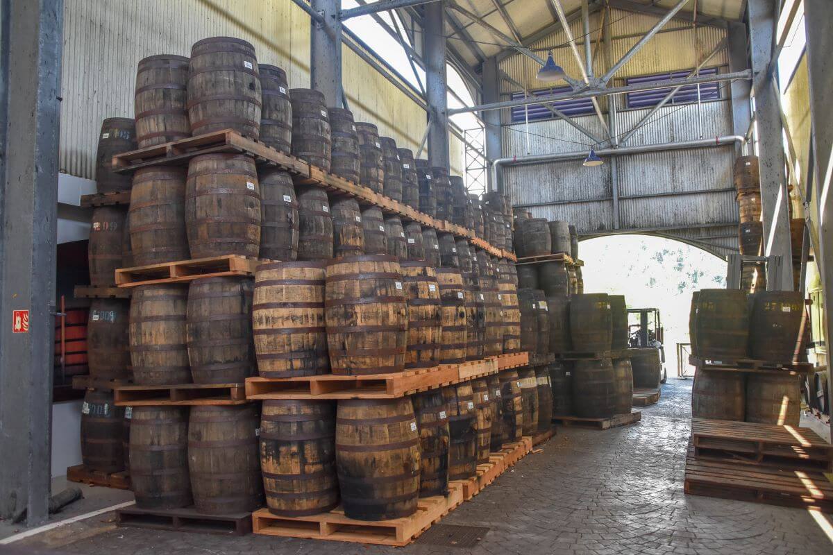 unique things to do in Jamaica - rum distillery tour