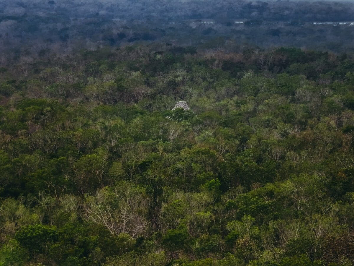 much of the site remains unexcavated 