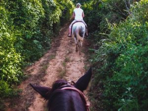 horse riding in Venezuela