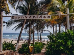things to do in Margarita island: Margarita Island offers relaxed vibes many travellers are looking for. The island with soft white sandy beaches, crystal clear waters and striking natural beauty is tucked away in the quiet corner of the Caribbean. 