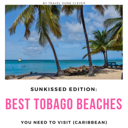 beaches in Tobago you need to visit