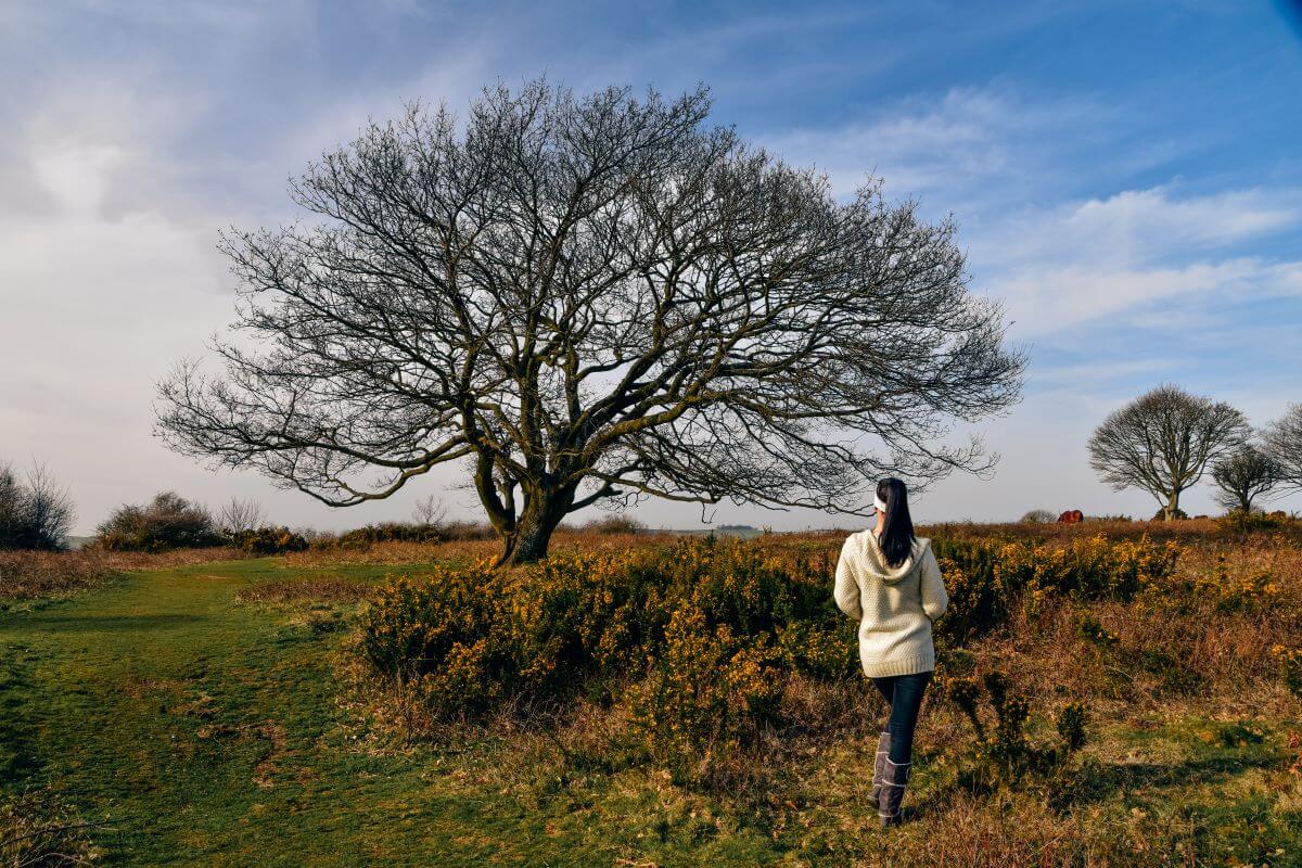 things to do in Worthing: Hiking the Cissburry Ring is one of the unusual things to do in Worthing in West Sussex because it is the second-largest hill fort in England. Cissbury Ring was even one of the first Neolithic flint mines in Britain. 