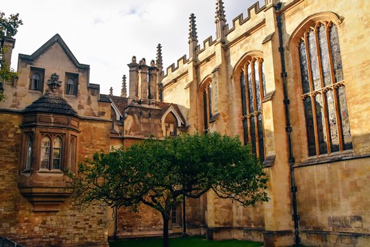 fun things to do in Cambridge: Finding Newton’s Apple Tree is one of the fun things to do in Cambridge. It's because this tree was grafted from the actual tree, which inspired his theory of gravity. Newton's Apple tree grows outside the entrance to Trinity College.