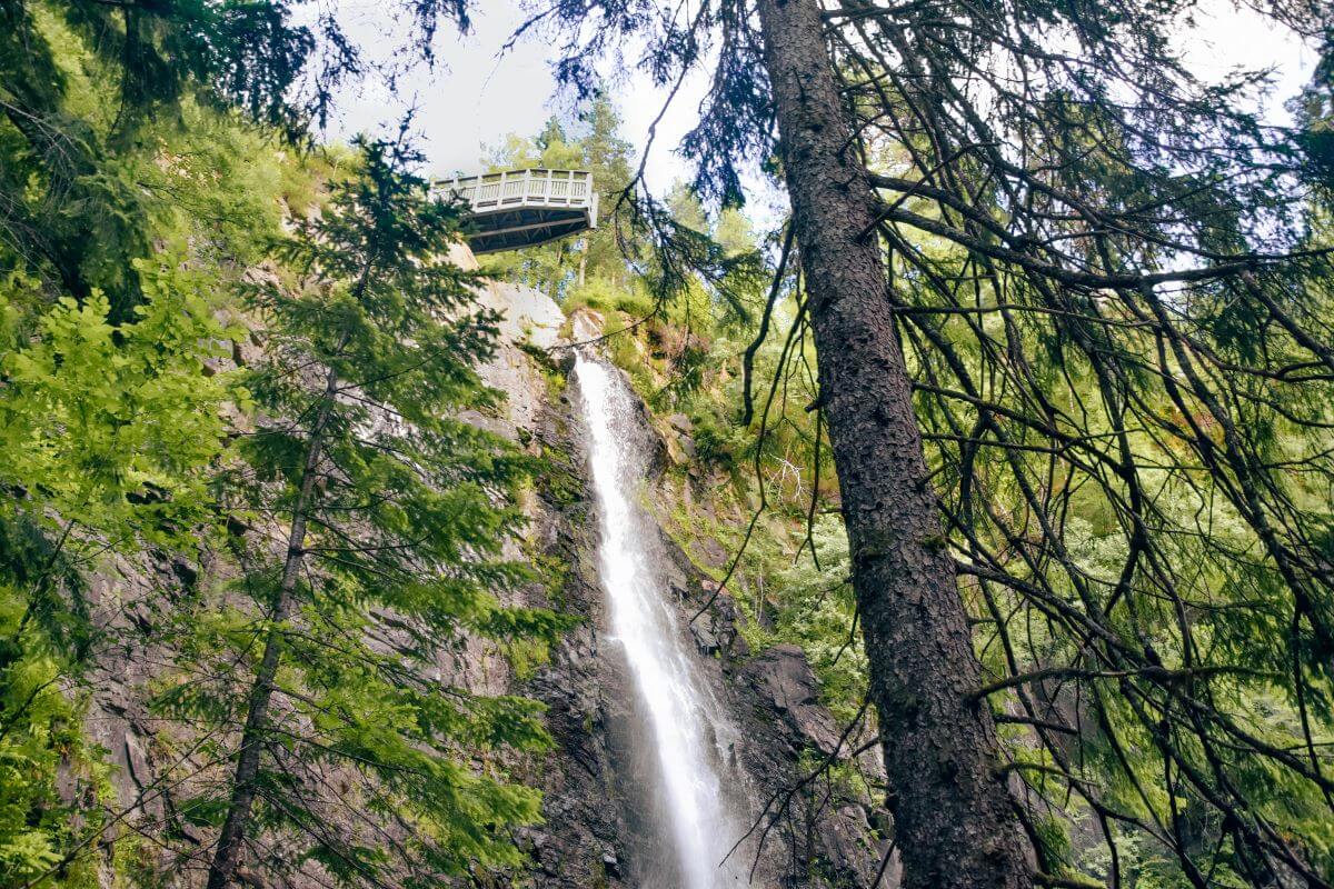 Plodda Falls