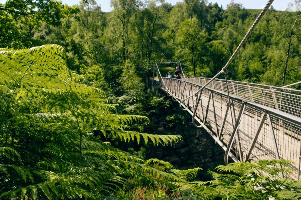 Corrieshalloch Gorge Scotland