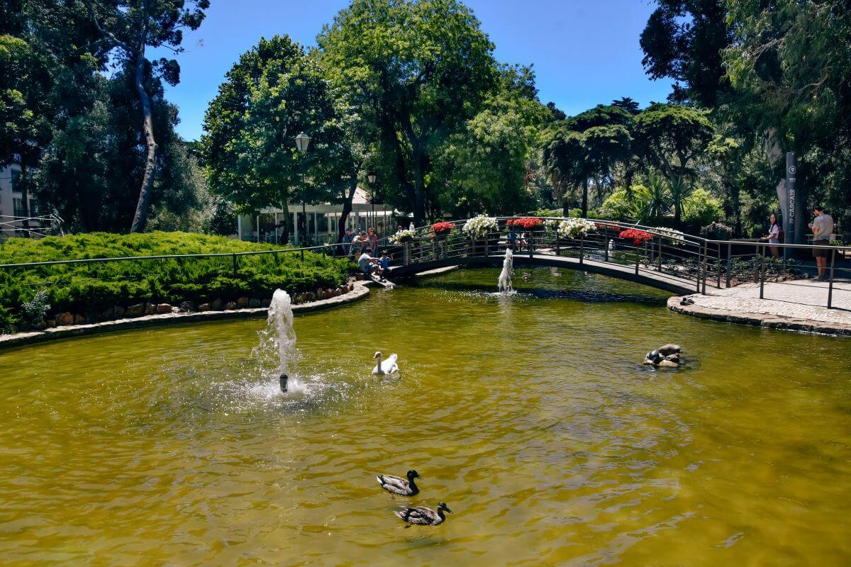 what to do in Cascais - Marechal Carmona Park
