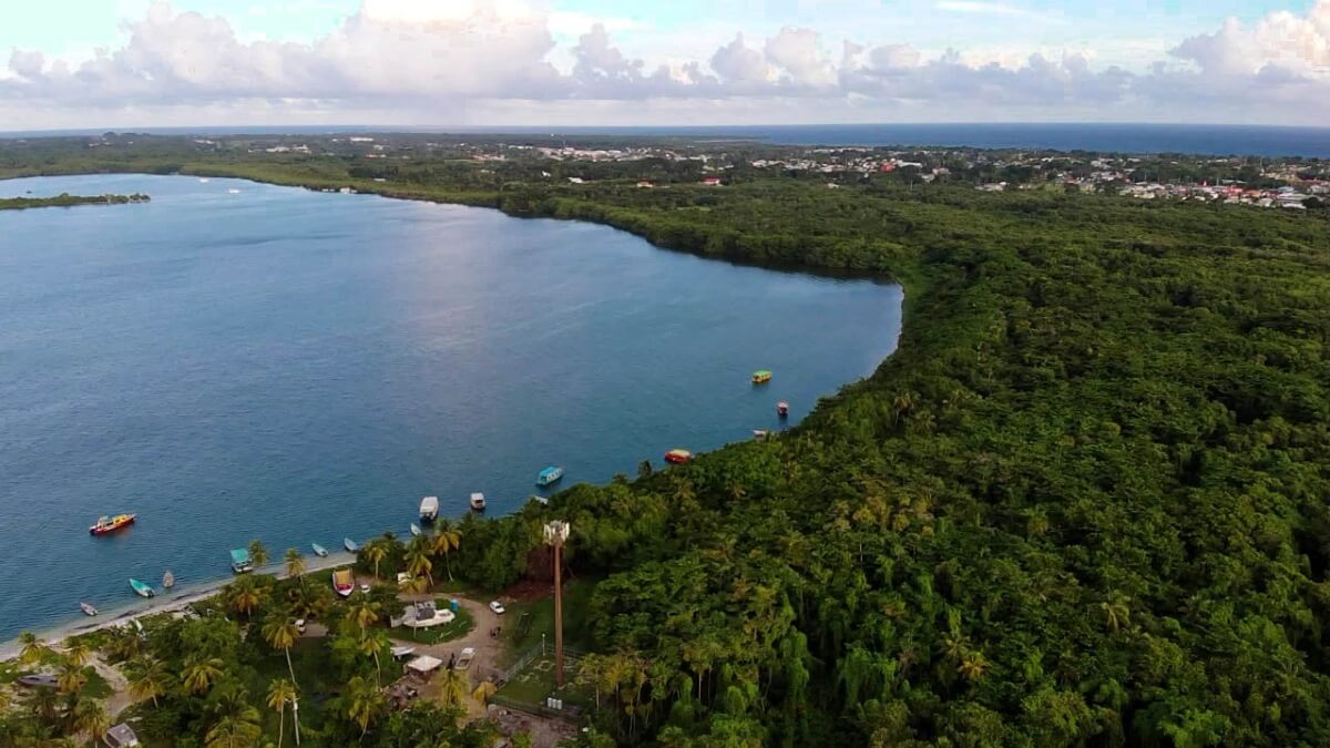 Tobago attractions: No Man's Land is one of the best Tobago attractions because this white sandy peninsula serves as a haven for exotic bird species thriving in its lush mangrove wetlands.