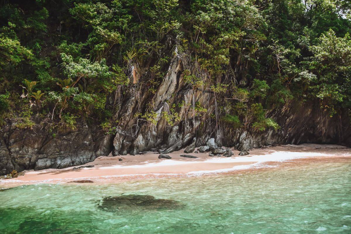 things to do in Tobago: Lovers’ Bay stands out because it is the island’s only pink sand beach and offers perfect snorkelling opportunities. That's why finding Lover's Bay is one of the best things to do in Tobago.