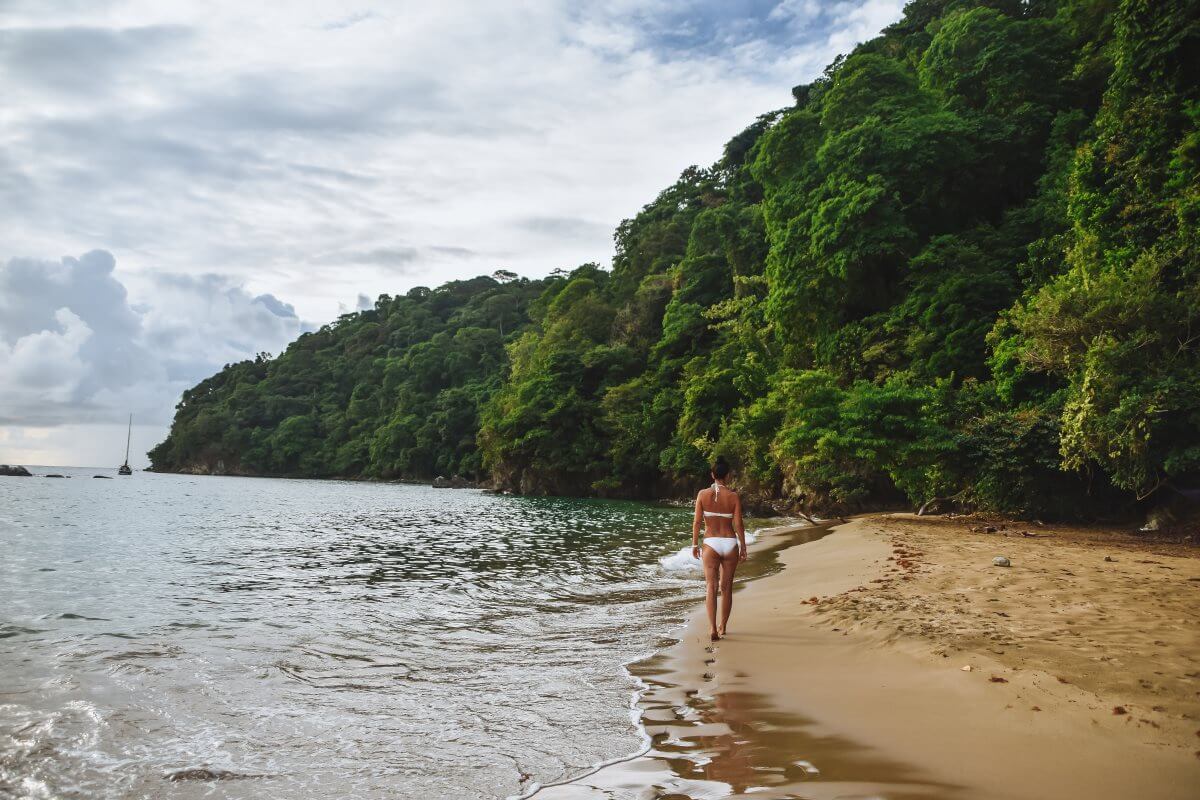 This quiet beach, nestled between the thick rainforest and the Caribbean Sea, is one of the best Tobago attractions.