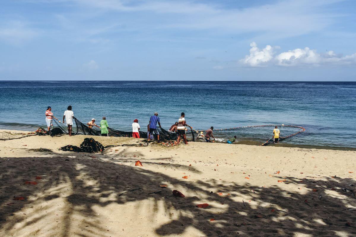 things to do in Tobago - see seine fishing