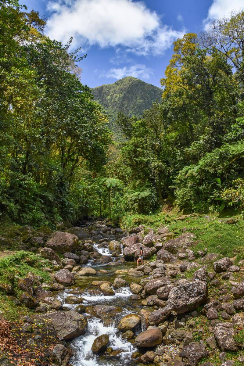 things to do in Martinique - Alma River