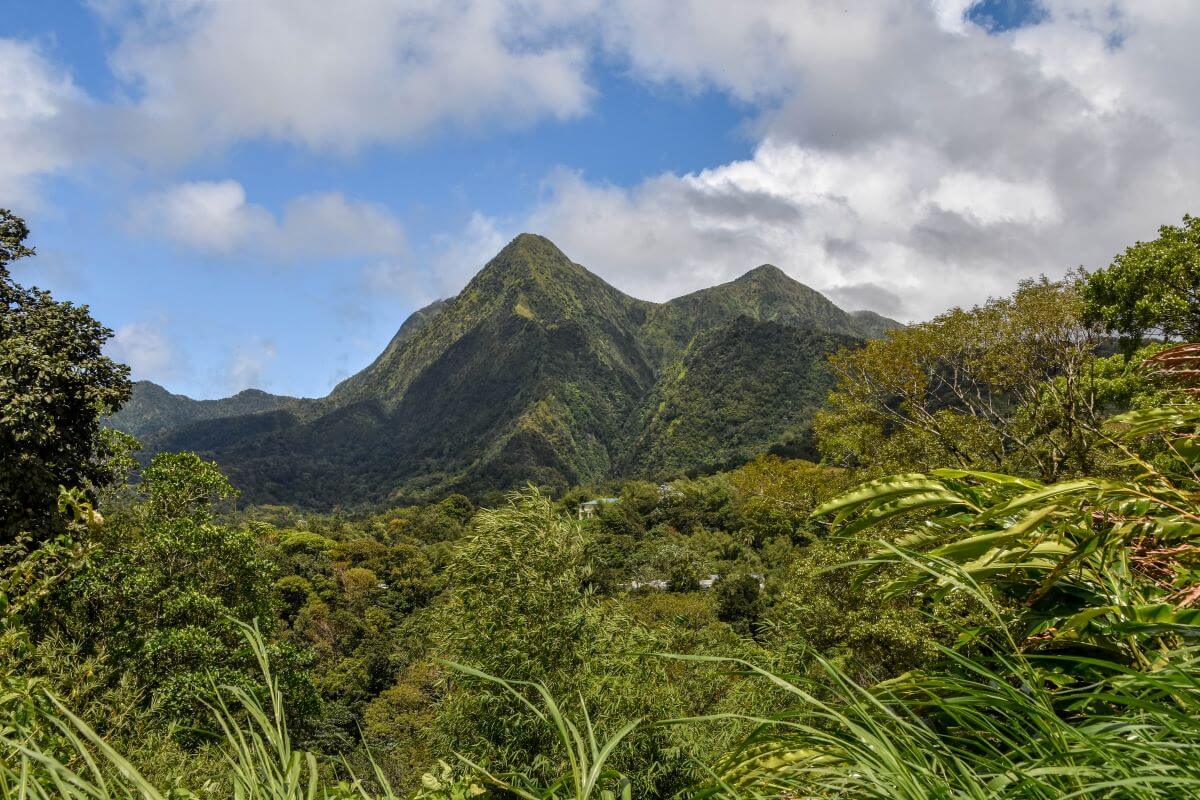 things to do in Martinique - Corbet Mountains for UNESCO and nature lovers
