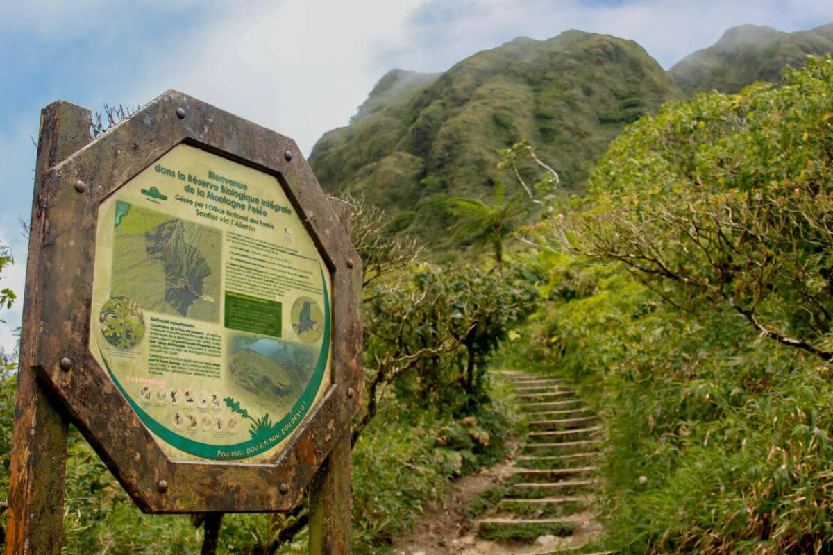 things to do in Martinique - hiking Mount Pelée