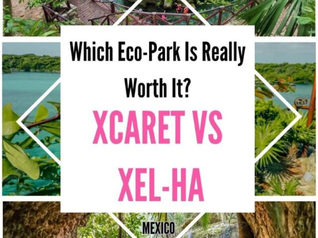Xcaret vs Xel-Ha: Which Eco-Park Is Worth Your Time and Money?