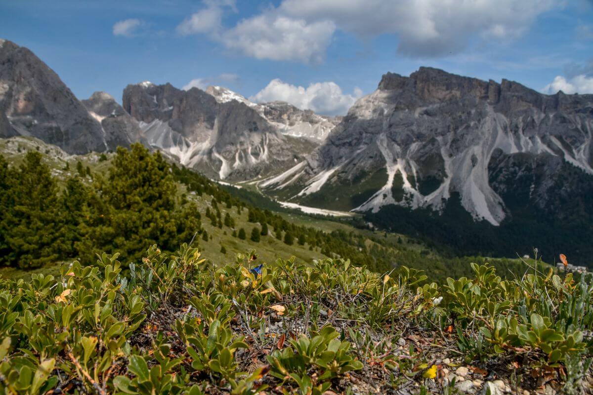 Seceda Dolomites with little hiking - UNESCO Dolomites viewpoint walk