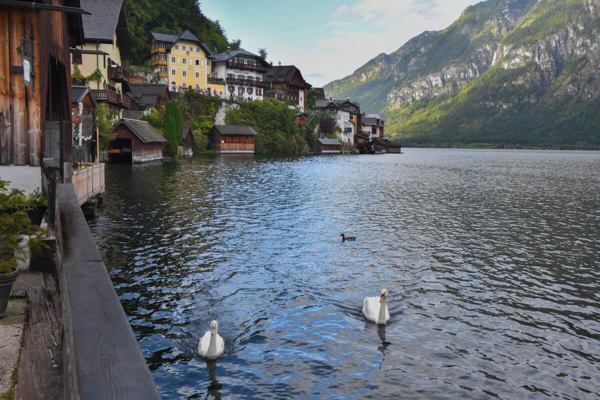 things to do in Hallstatt one day