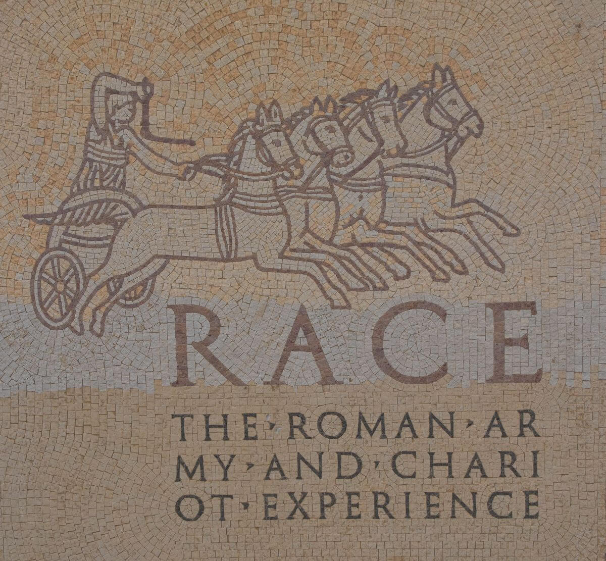 Roman Army and Chariot Experience