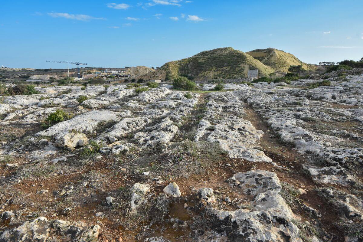 Megalithic Malta - Cart ruts