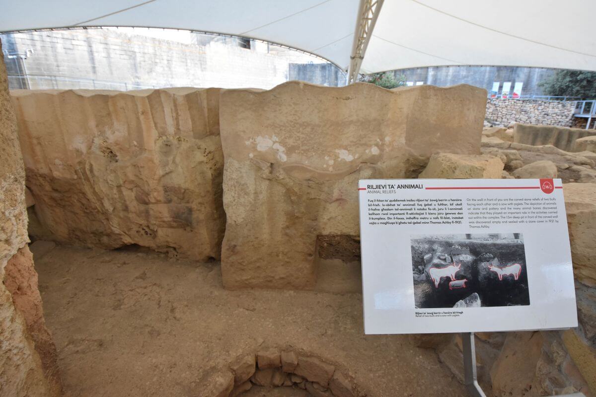 Megalithic Malta - animal reliefs, Tarxien Temples