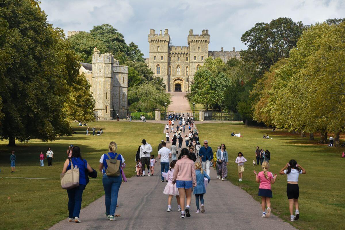 The Long Walk - ancient trees and a legend