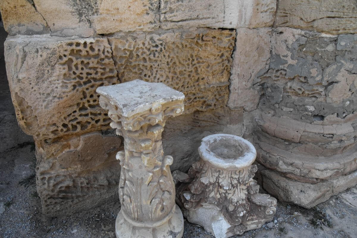 signs of fossiled shells in stone blocks of the colosseum