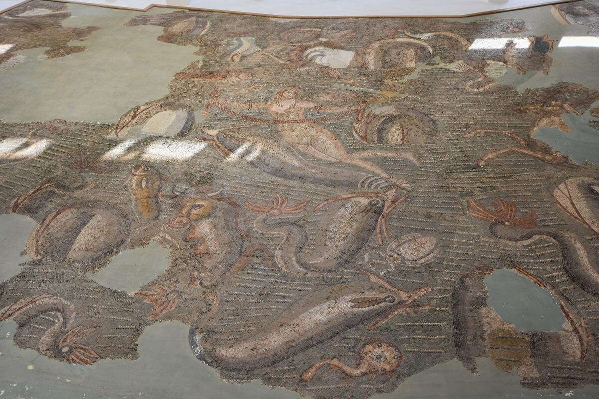 Bardo National Museum Tunis - Nereids and Sea Animals mosaic