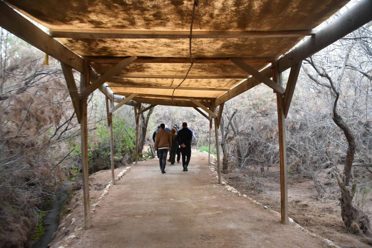 follow a path towards the river