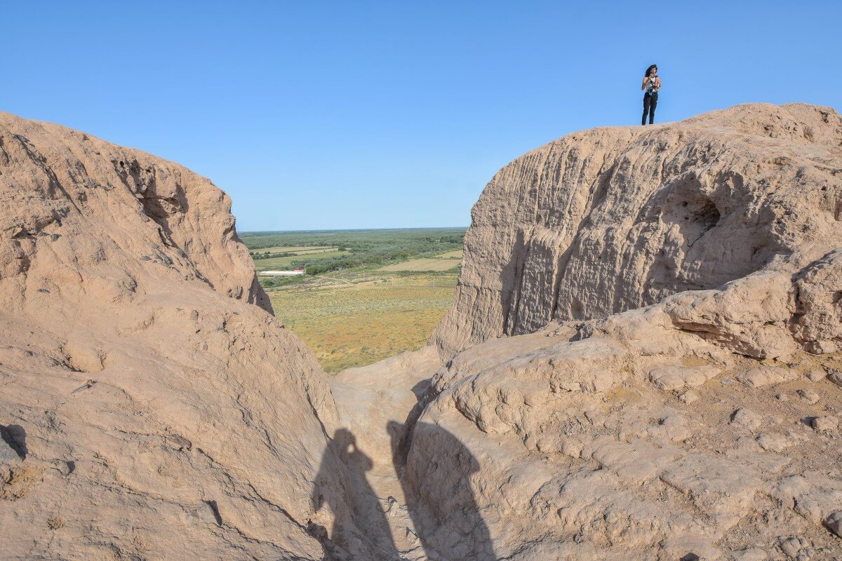 panoramic view from tower summit