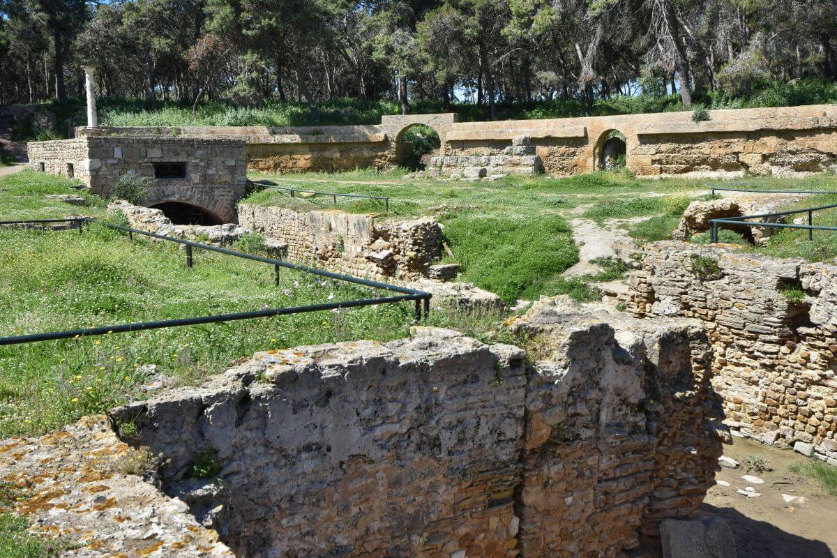 facts about Amphitheatre