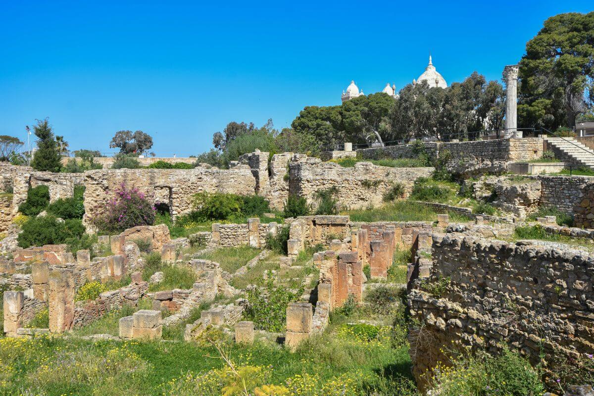 Punic quarter, Byrsa Hill - structures survived just below the summit