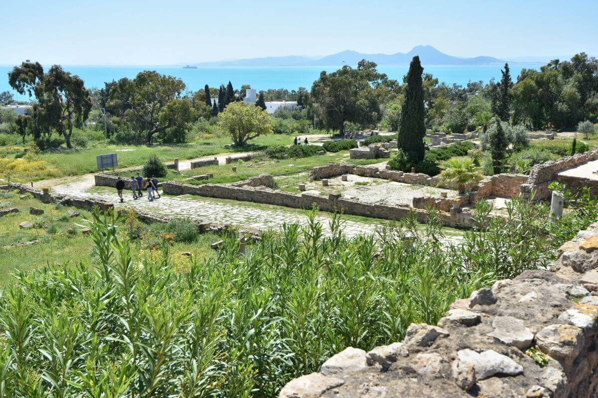 key facts about the Carthage Ruins