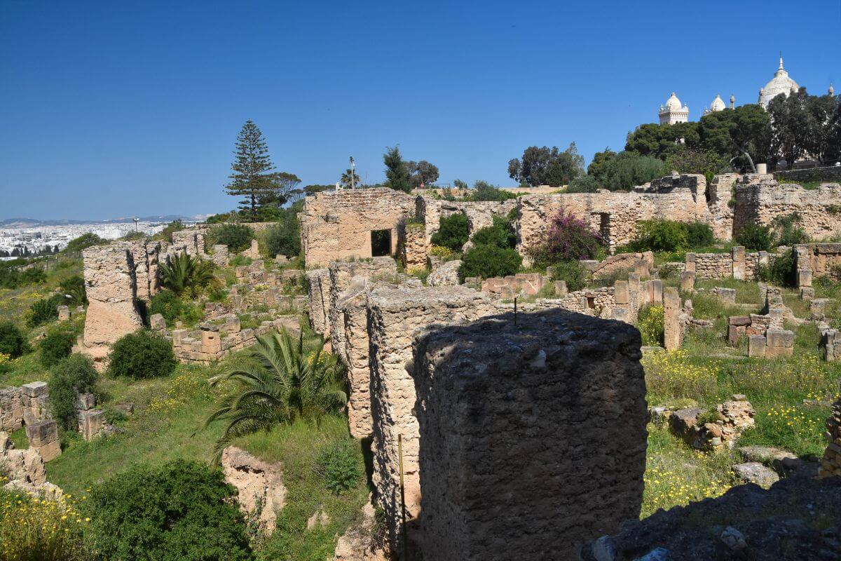 quick answers - worth the detour from Tunis?