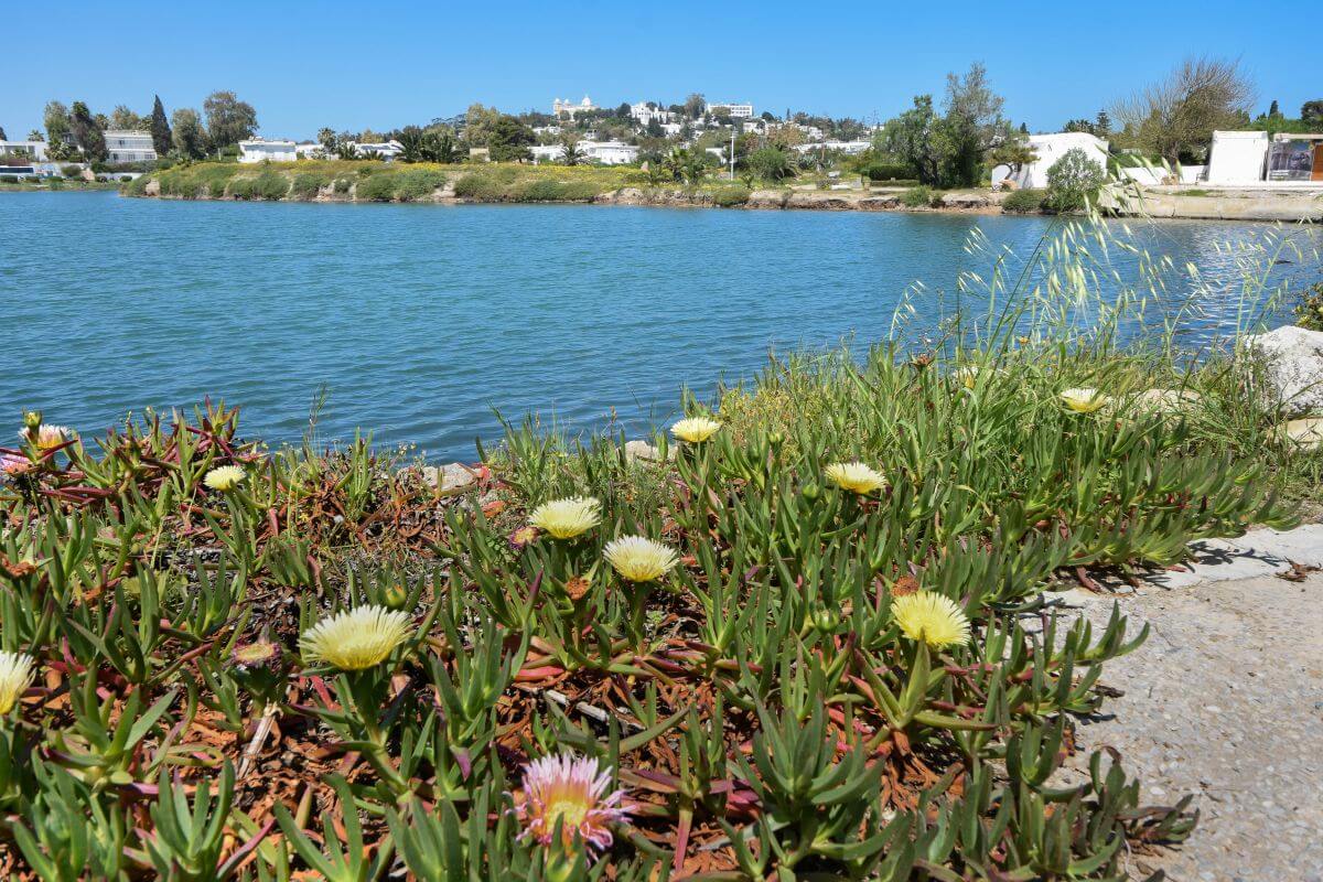 Carthage Tunisia - Punic ports