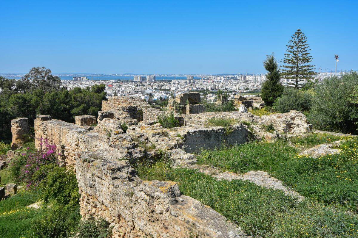 Punic citadel ruins, Byrsa Hill