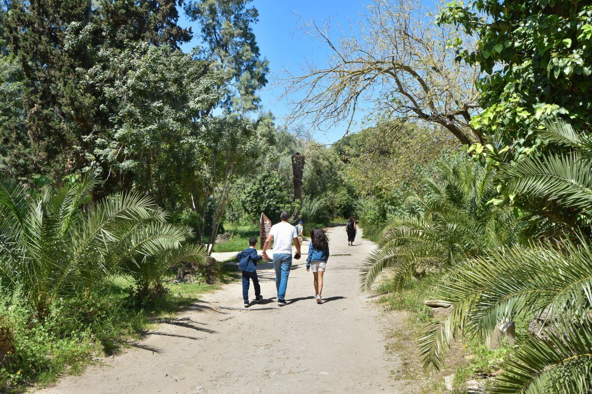 visiting Carthage -tips