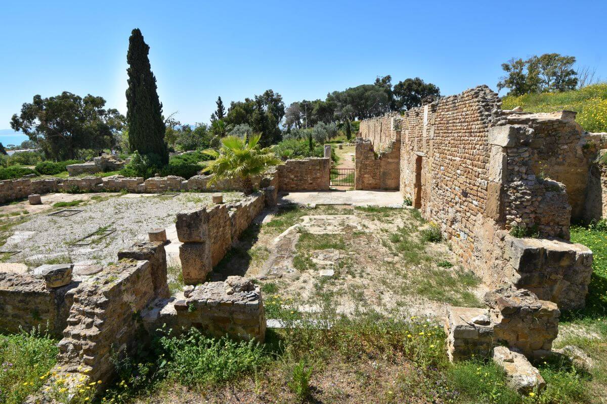 Roman villas built over a Punic cemetery