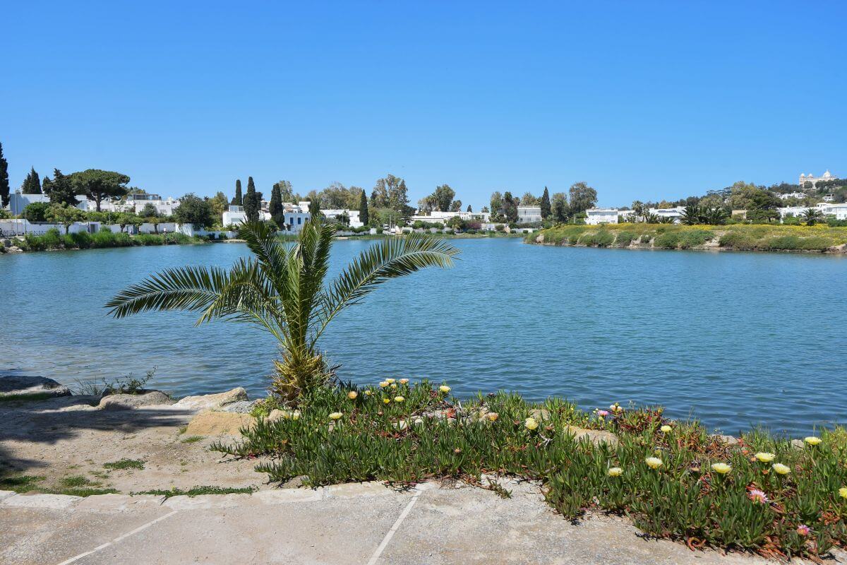 ancient Carthage - Punic Ports