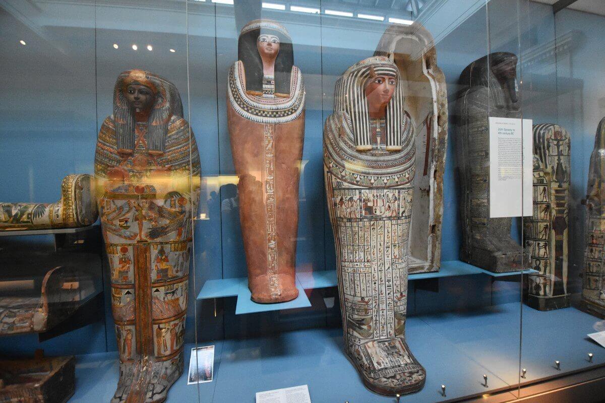 Egyptian mummy collections